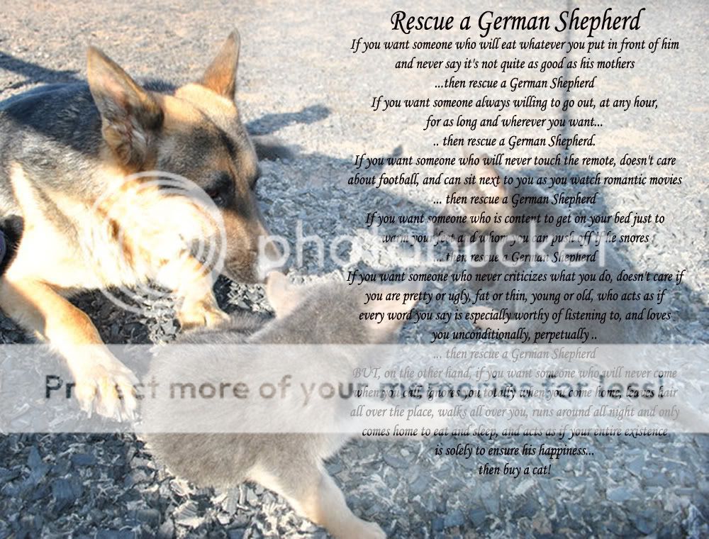 A woman's guide to owning a German Shepherd